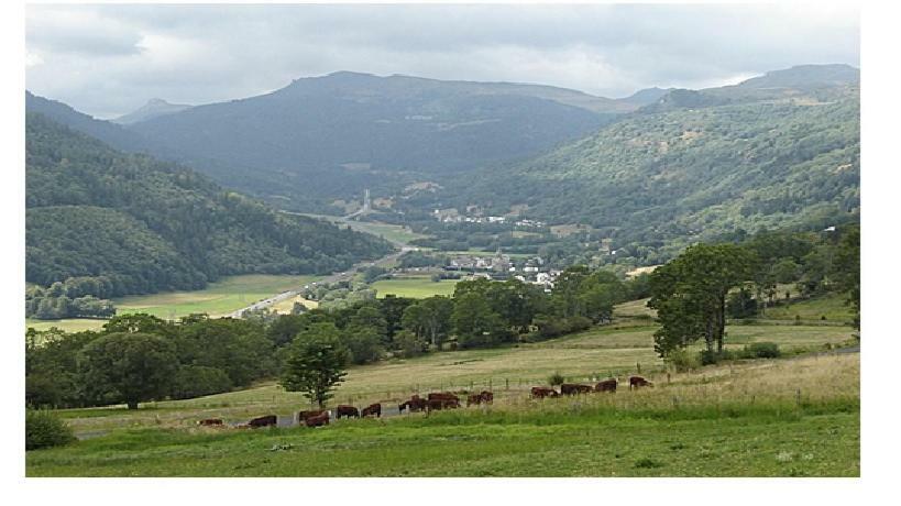 Vacances Au Pied Des Monts Du Cantal Laveissière Exteriér fotografie